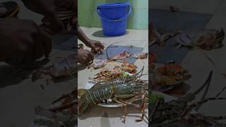 lobster cutting video। Khushnur Nahid