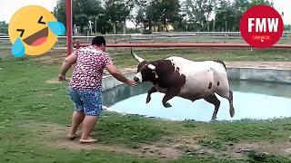 Funny & Hilarious People's Life  #175 - Try not to Laugh | Instant Regret Fails Compilation 2024