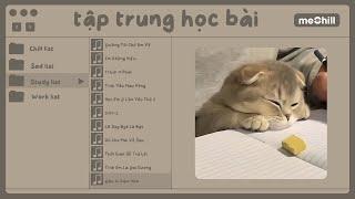 Playlist speed up nhẹ nhàng cho mí bạn tập trung ôn thi cuối kì cuối cấp  | Con Mèo Béo