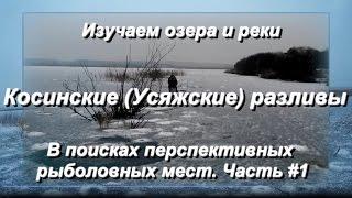 Косинские (Усяжские) разливы. Рыбалка в Беларуси. Ищем рыболовные места Минской области