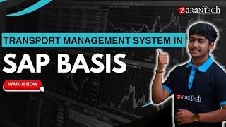 Transport Management System in SAP Basis | ZaranTech