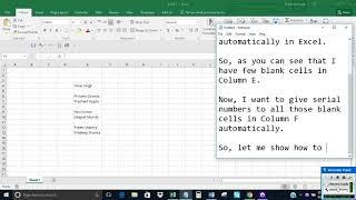 Automatically give serial numbers to blank cells in Excel