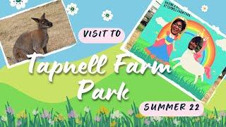 Visit to Tapnell Farm Isle of Wight - England Summer 2022