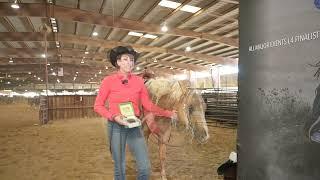 SWRHA Futurity & Show Novice Horse Non Pro Level 3 high point champions - Lindsey McCutcheon