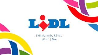 Lidl kids mix, 9.9кг. (61шт) №4 Сток оптом