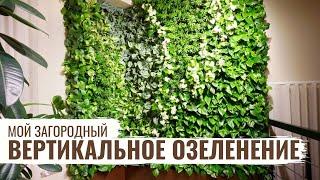 Вертикальное озеленение / Мой Загородный / #37