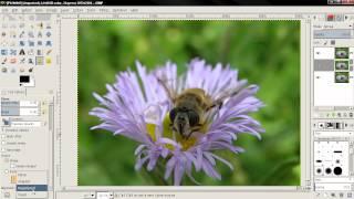 Sharpen Image - GIMP 2.8 tutorial