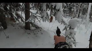 Ketunmetsästystä / Foxhunting 49