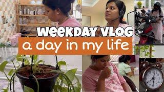 Weekday Vlog Daily routine Day in my life #diml #cooking #healthy #dayinmylife #home #food