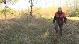 Staatsbosbeheer: 'Ga niet het bos in'