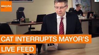 Cat Interrupts Mayor's Live Feed