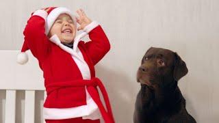 The FUNNIEST Baby Santa Reaction and His Dog!