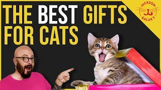 The BEST Gifts for Cats