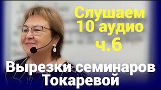 10 YT аудио Вирезок ч.6 (Декабрь 2023 - Январь 2024). Вырезки семинаров Токаревой