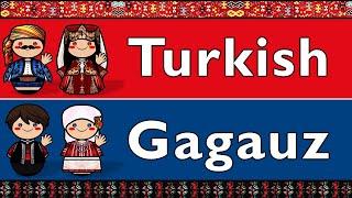 TURKIC: TURKISH & GAGAUZ