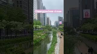 Cheonggyecheon Stream #seoul #southkorea #travel #koreanculture