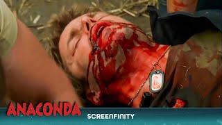 Anaconda Attack! | Anaconda 3: Offspring | Screenfinity