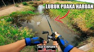 SATU LUBUK NI BANYAK IKAN HARUAN