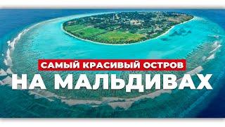 Вот ради чего стоит побывать на Мальдивах. Остров Тодду