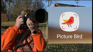 Picture Bird - Best Bird Identification App for iOS and Android
