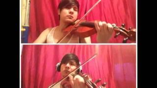 the butterfly irish reel violin & viola