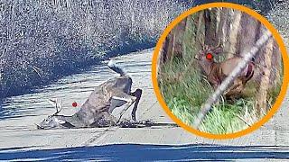 BEST ShotKam Deer Kills 2023 | Best Gun Cam In The World!?