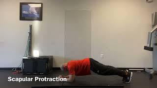 Scapular Protraction