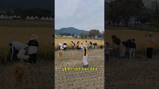 다시 찾고 싶은 외암마을 짚풀문화제와 현충사의 달빛야행 #아산가볼만한곳 #아산축제