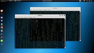 Matrix effect in Kali Linux terminal