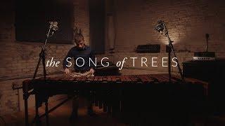 The Song of Trees by Keiko Abe - Marimba Literature Library