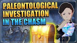 Paleontological Investigation in The Chasm (ALL 5 Strange Rock Locations) Genshin Impact World Quest