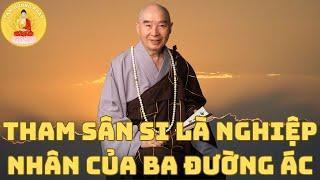 Tham sân si là nghiệp nhân của ba đường ác | Pháp Sư Tịnh Không | Tâm Hướng Phật