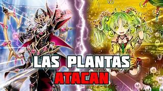 Magias contra trampas | Pendulum Magician vs Traptrix