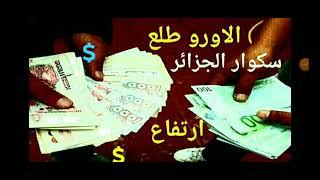 سعر اليورو اليوم 31 اوت 2024 سعر الاورو في الجزائر سكوار قسنطينه سعر الدولار.