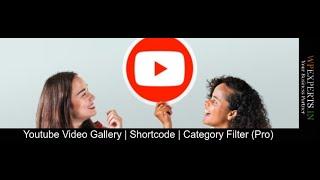 Wordpress Best YouTube video gallery plugin add-on