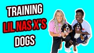 TRAINING LIL NAS X'S DOGS | Kaelin And Her Pups 021