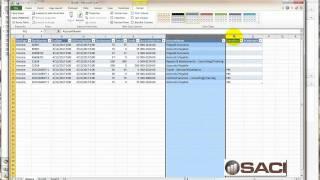 Microsoft Dynamics GP Payables Management Batch Review using Excel Part 1