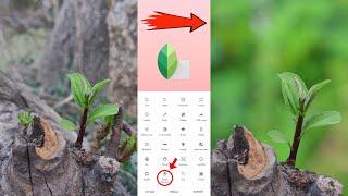 Blur Background in Snapseed / Background Blur photo Editing Tutorial  video / #abhayclick #tutorial