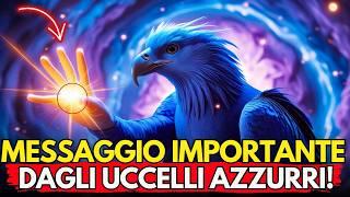 TEMPO DI FUGA E 3 GIORNI DI BUIO! Messaggio degli Aviatori BLU