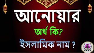 আনোয়ার নামের অর্থ কি, আনওয়ার আরবি বাংলা অর্থ ? Anowar Name Meaning Islam in Bengali. Abdullah BD.