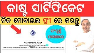 CASTE CERTIFICATE ODISHA ONLINE APPLY 2024 | How to apply SEBC Caste Certificate Odisha #certificate