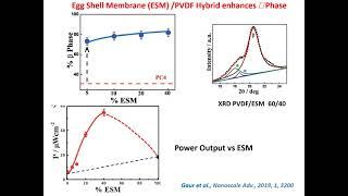 Webinar Ferro/Piezoelectric Polymers - 03/02/21 - Bruno AMEDURI (Institut Charles Gerhardt, France)