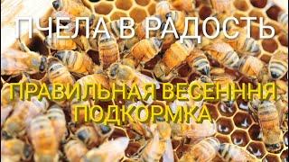 Сколько литров сиропа давать пчёлам весной?!!НЕ упусти!!!