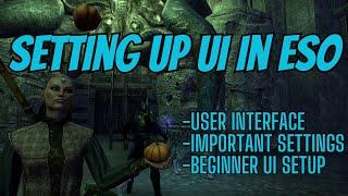 User Interface Settings In ESO