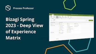 Bizagi Spring 2023 - Deep View of Experience Matrix — Process Professor