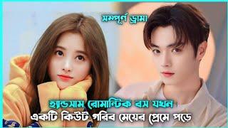 রোমান্টিক লাভ স্টোরি Best Choice Ever Movie Explain in Bangla | Korean Drama Bangla 🟤Movie Story SJ