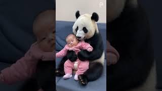 This time the panda is the nanny #babysister #panda #nanny #funny #cute #cutie