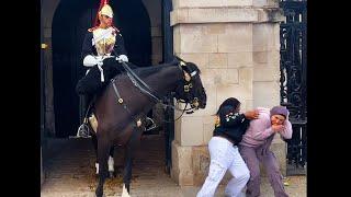 Two girls learn their lesson on not getting to close to the horse..