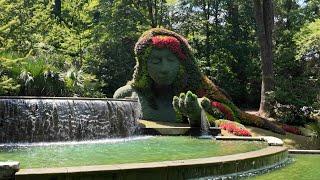 Exploring the Atlanta Botanical Gardens | July 2024 Adventure