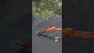 River Revival: Floating Excavator Cleansing the Depths | Drone Views 